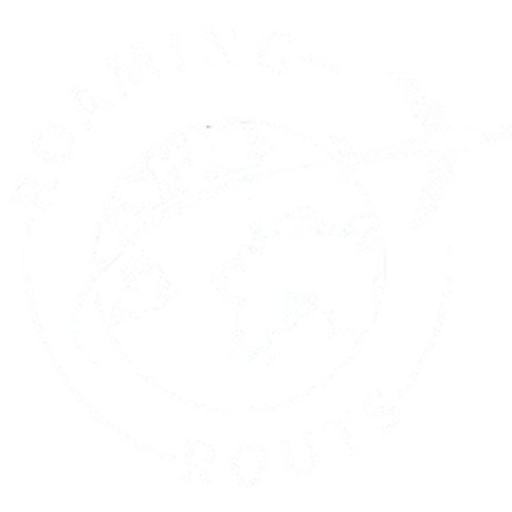 Roaming Travels